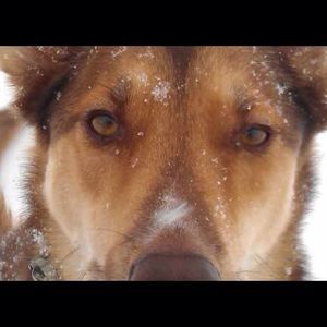 Meet your Posher, Andrée